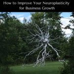 How to Improve Your Neuroplasticity for Business Growth